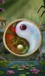 Panda Money